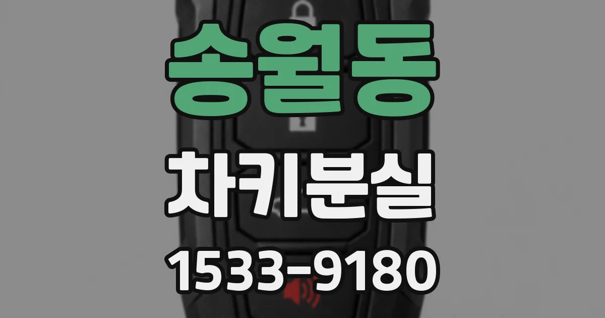송월동 차키분실