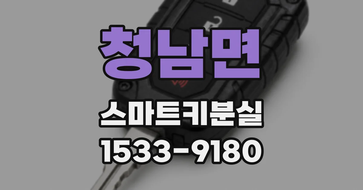 청남면 스마트키분실