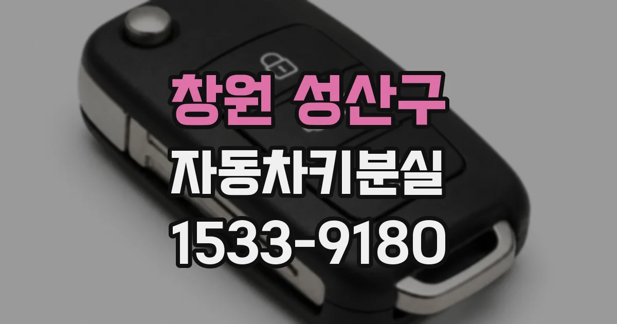 창원 성산구 자동차키분실