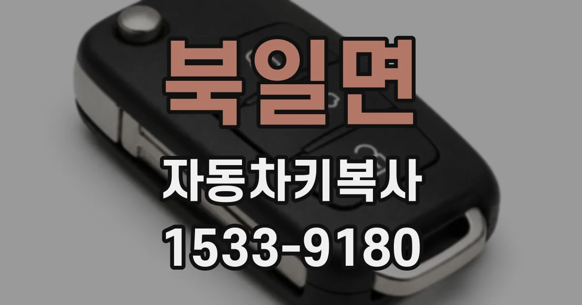 북일면 자동차키복사