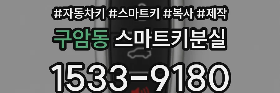 구암동 스마트키분실