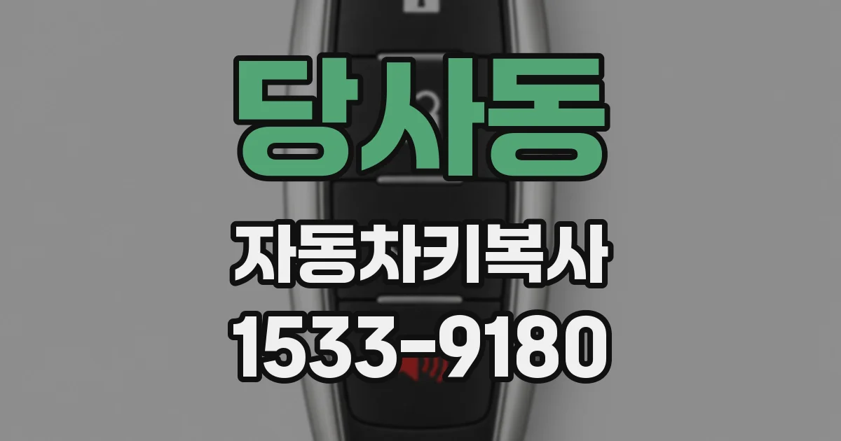 당사동 자동차키복사