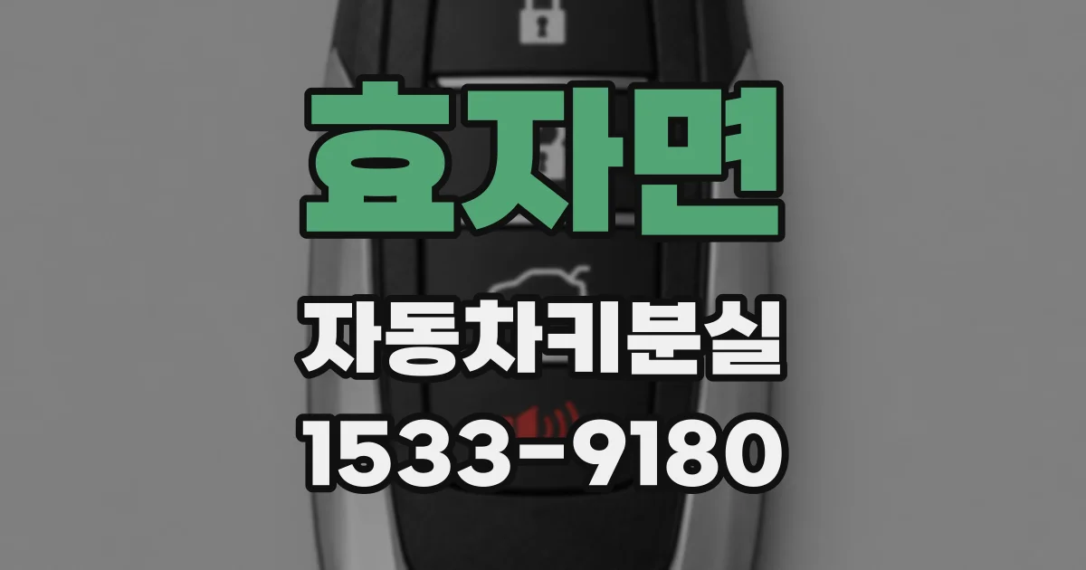 효자면 자동차키분실