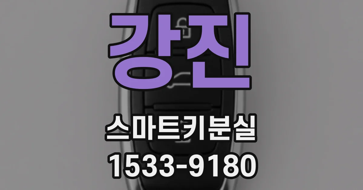 강진 스마트키분실