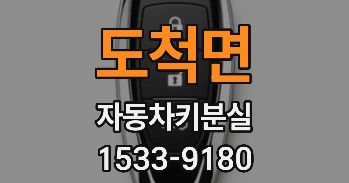 도척면 자동차키분실