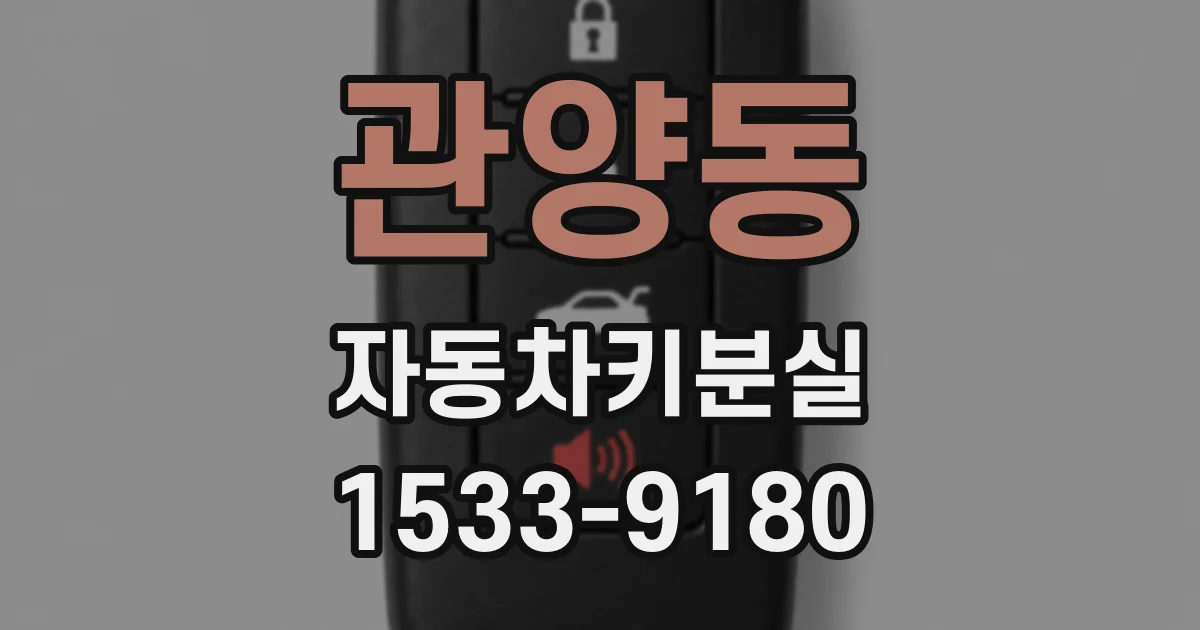 관양동 자동차키분실
