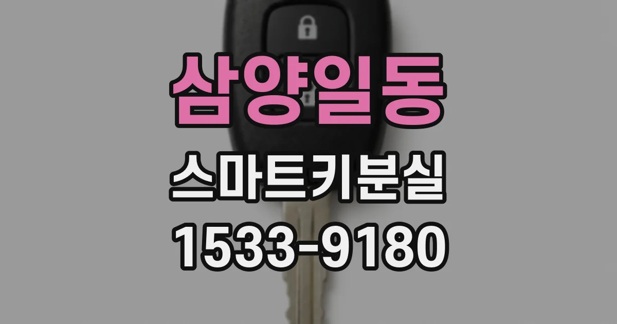 삼양일동 스마트키분실