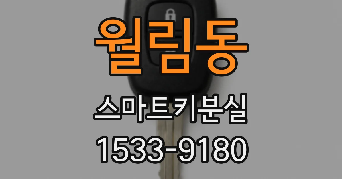 월림동 스마트키분실