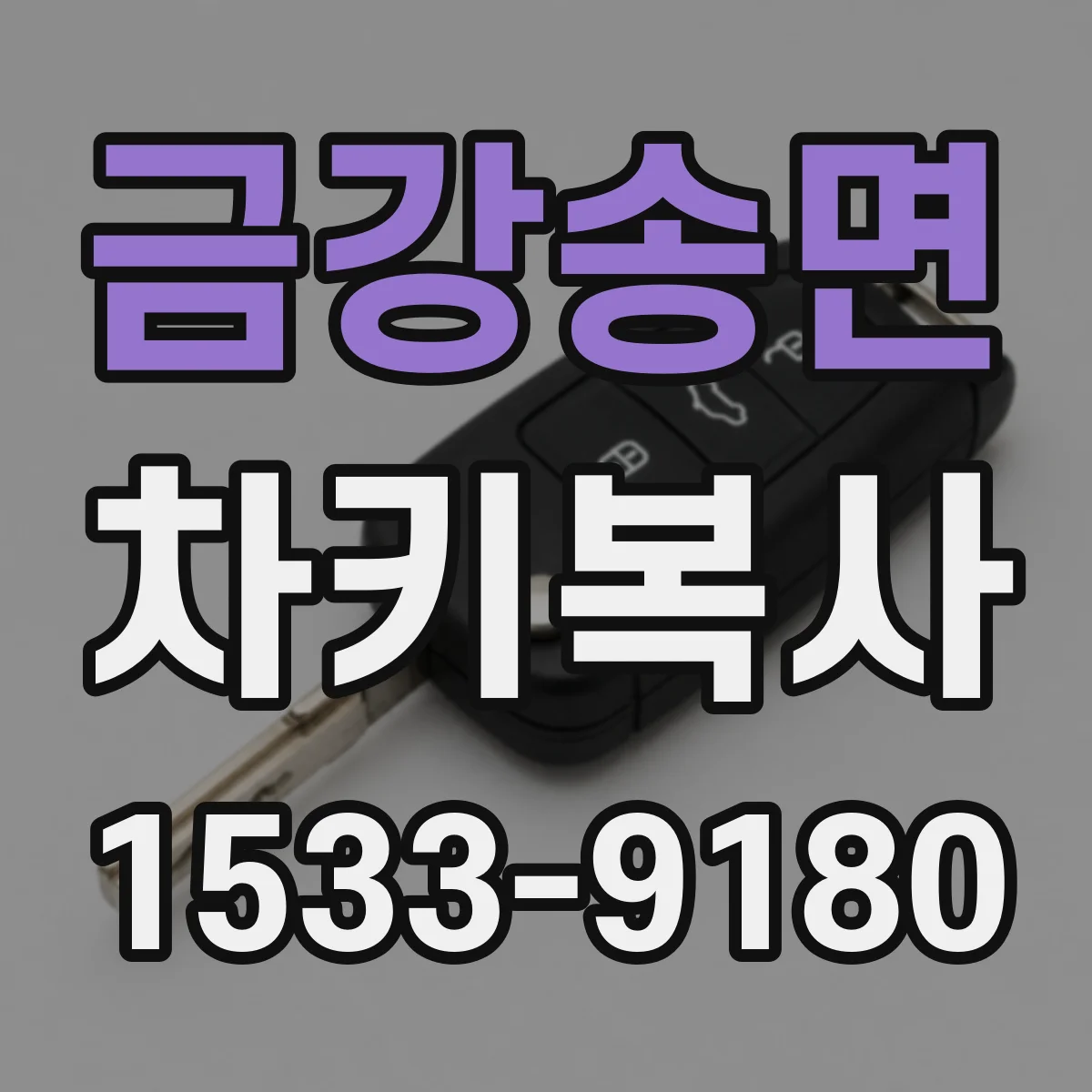 금강송면 차키복사