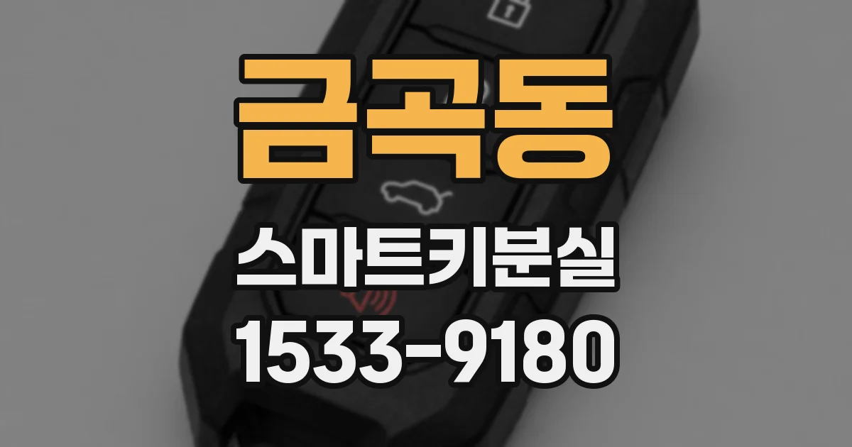 금곡동 스마트키분실