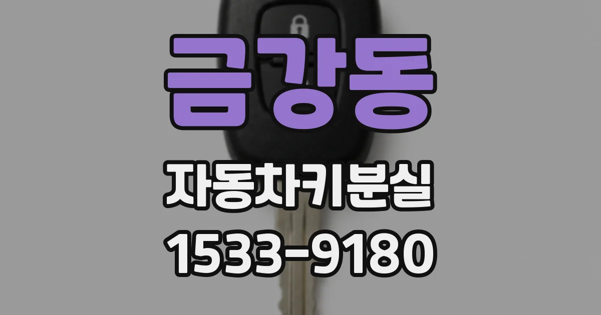 금강동 자동차키분실