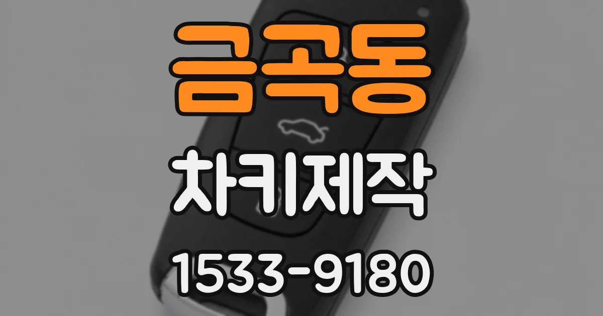 금곡동 차키제작