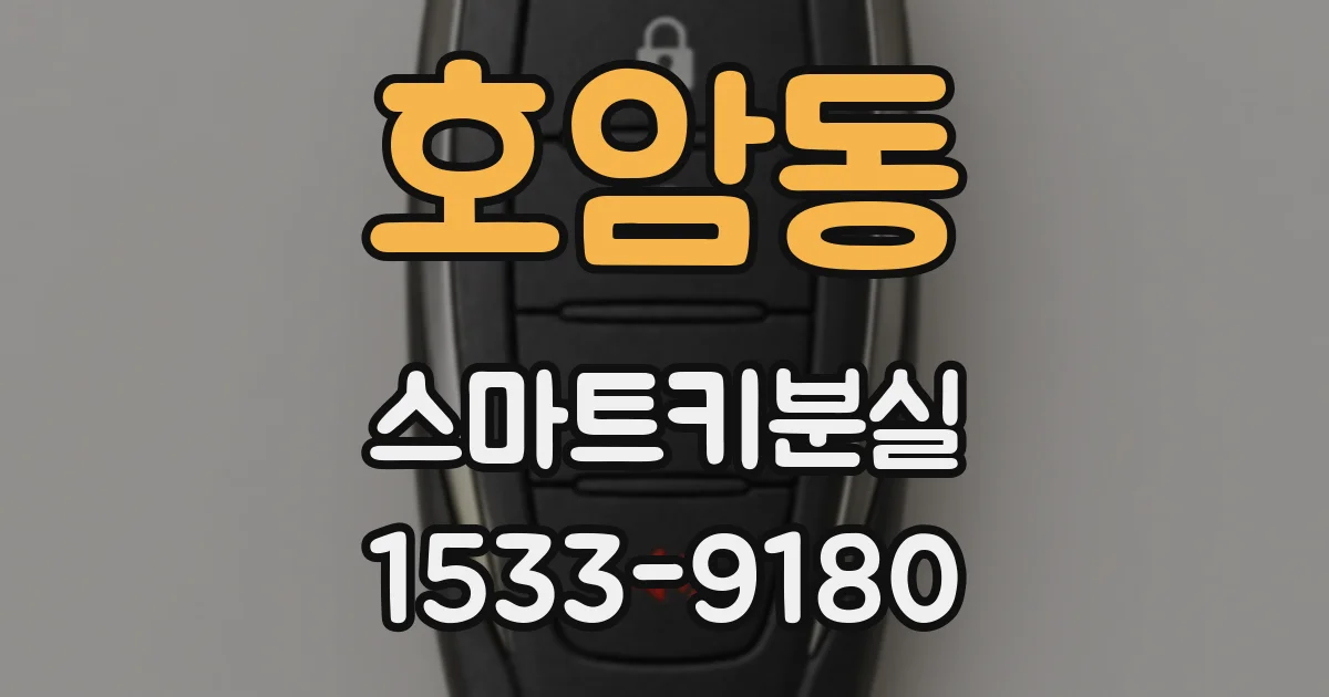 호암동 스마트키분실