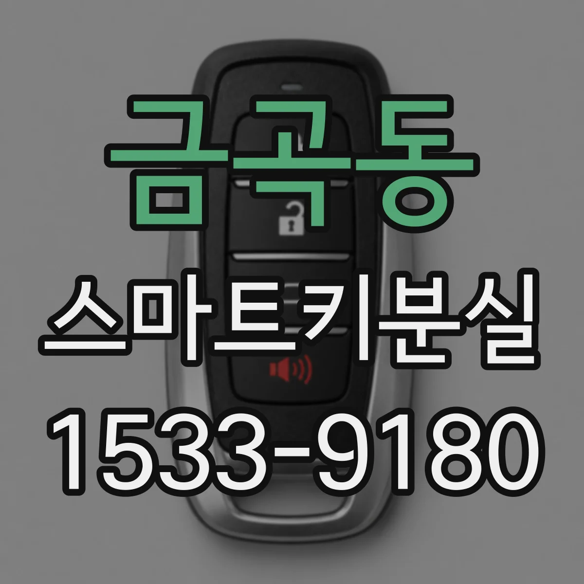 금곡동 스마트키분실