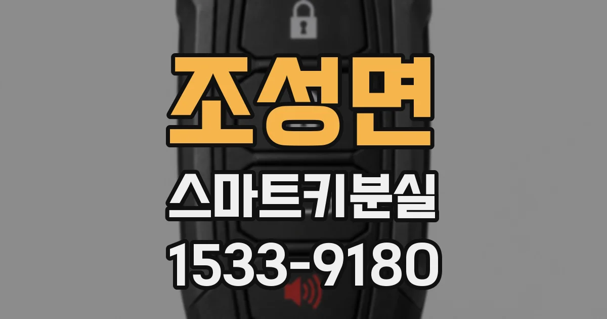 조성면 스마트키분실