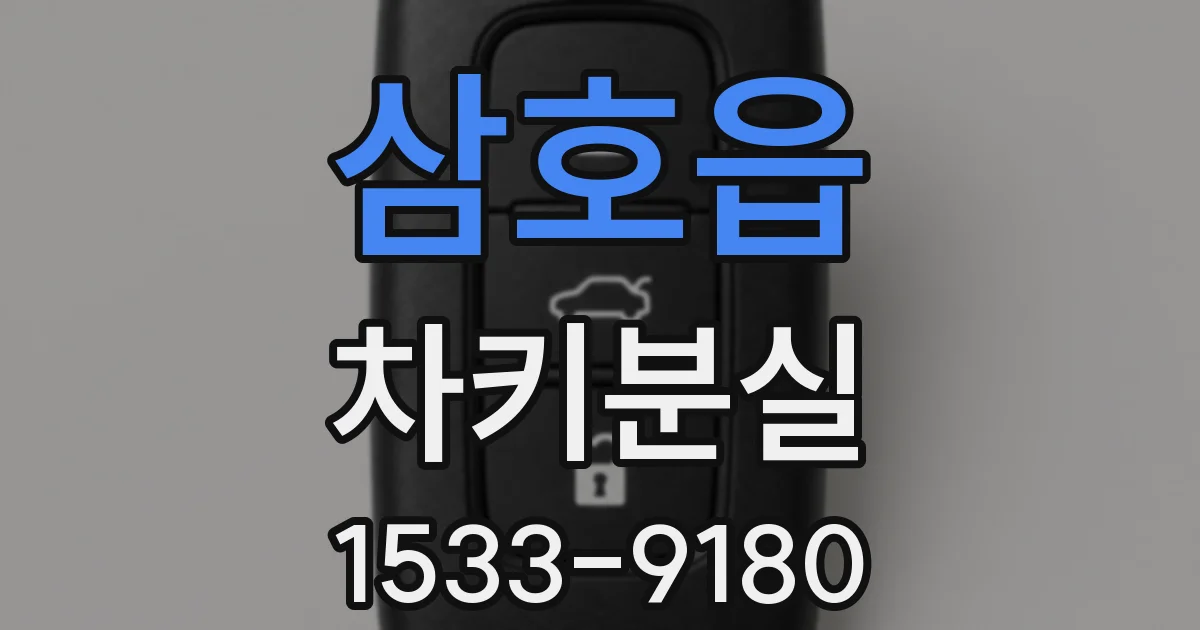 삼호읍 차키분실