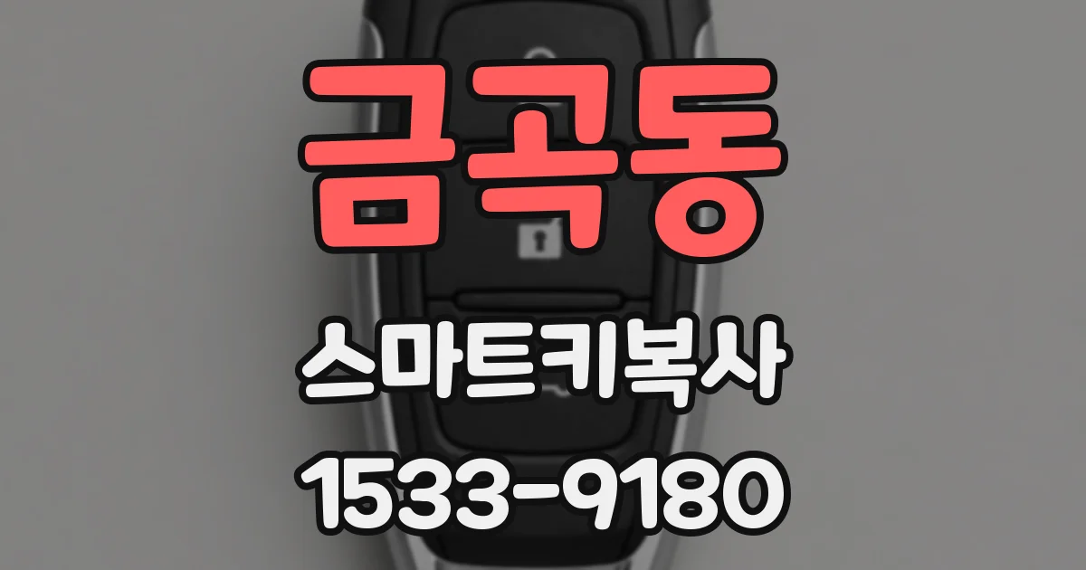 금곡동 스마트키복사