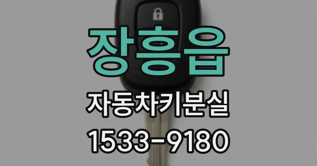 장흥읍 자동차키분실