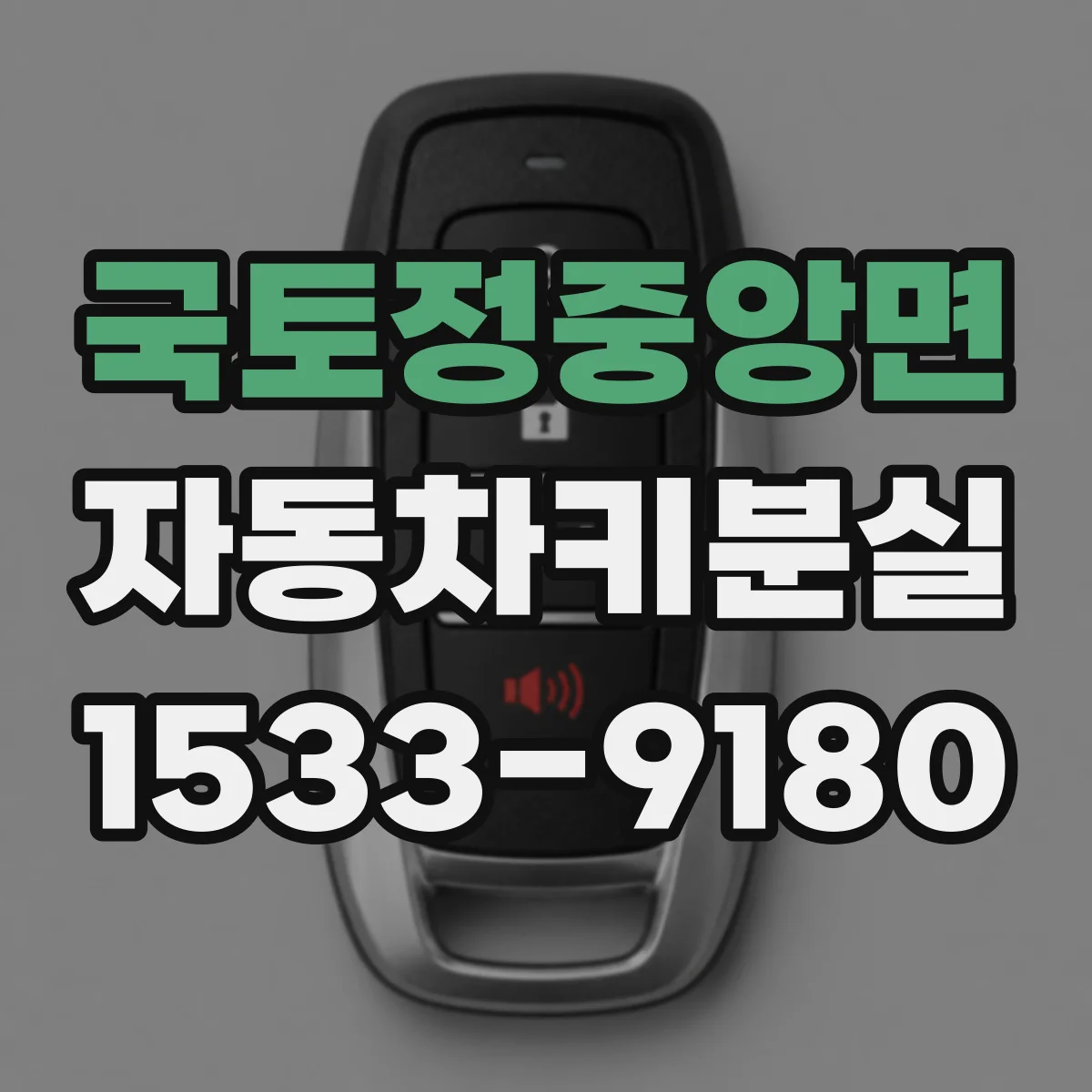 국토정중앙면 자동차키분실