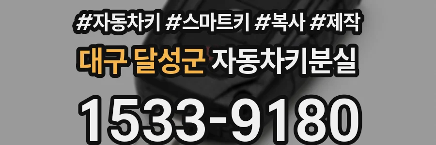 대구 달성군 자동차키분실