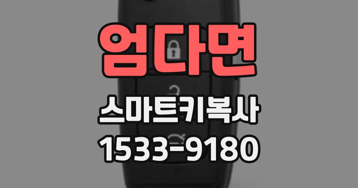 엄다면 스마트키복사