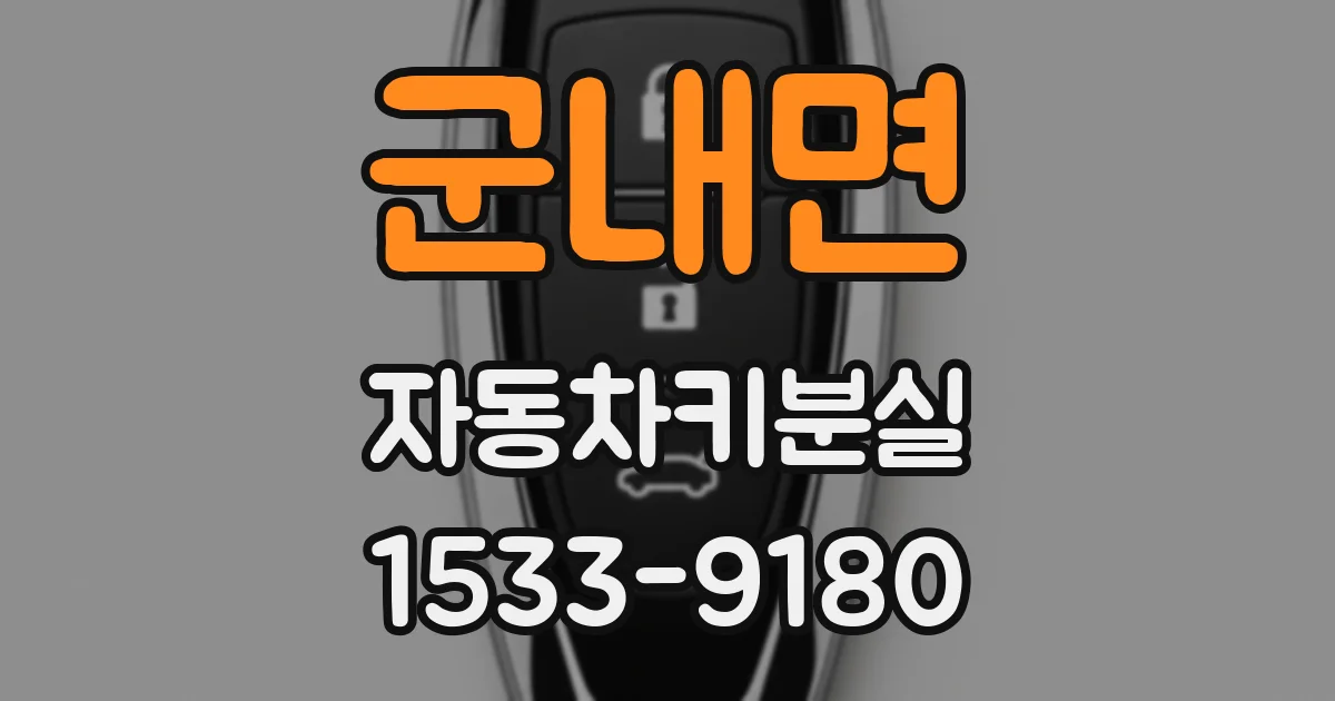 군내면 자동차키분실