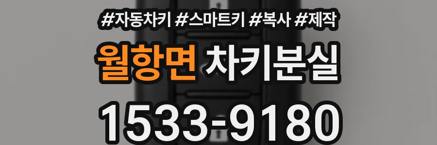 월항면 차키분실