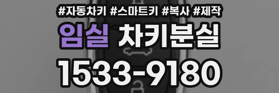 임실 차키분실