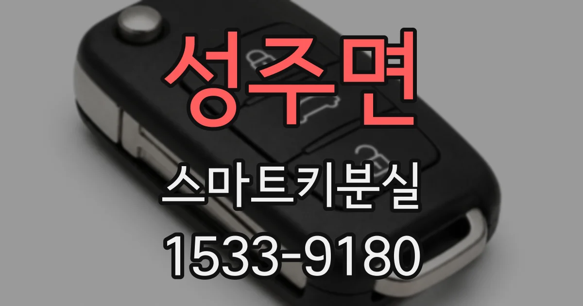 성주면 스마트키분실