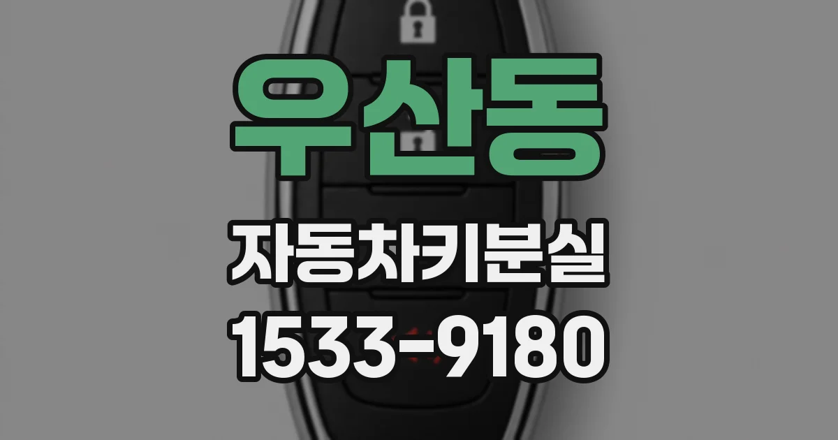우산동 자동차키분실
