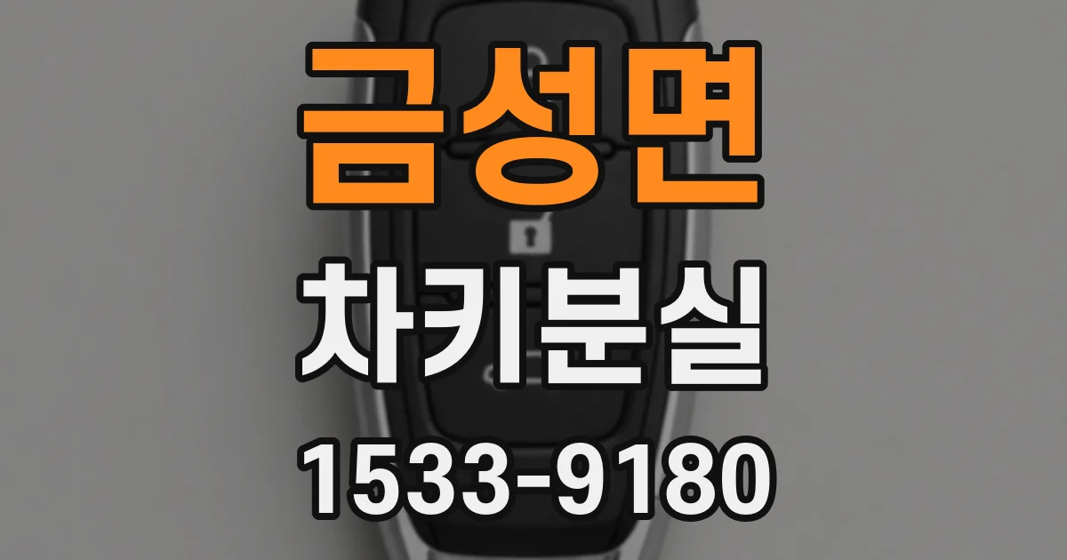 금성면 차키분실