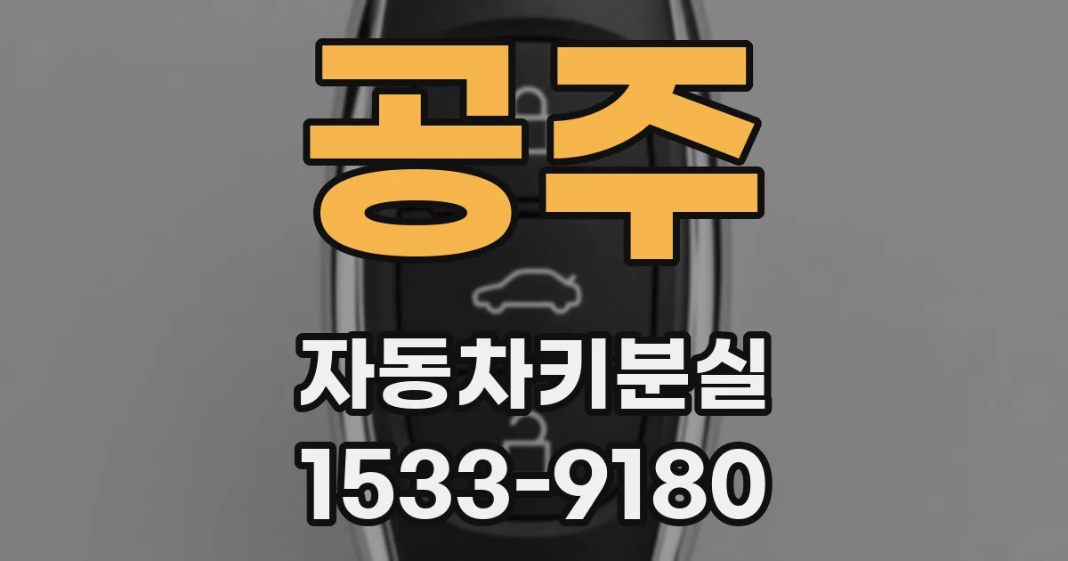 공주 자동차키분실
