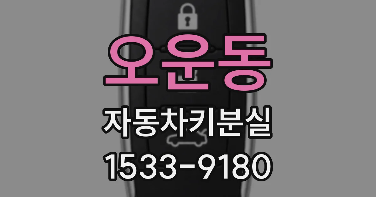 오운동 자동차키분실