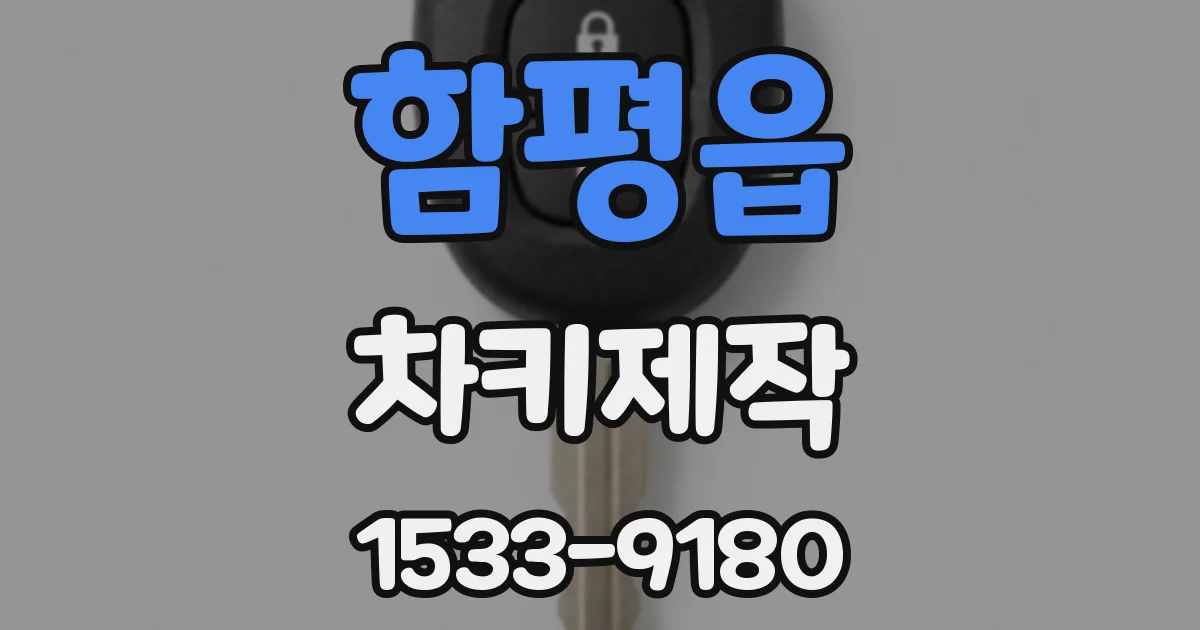 함평읍 차키제작