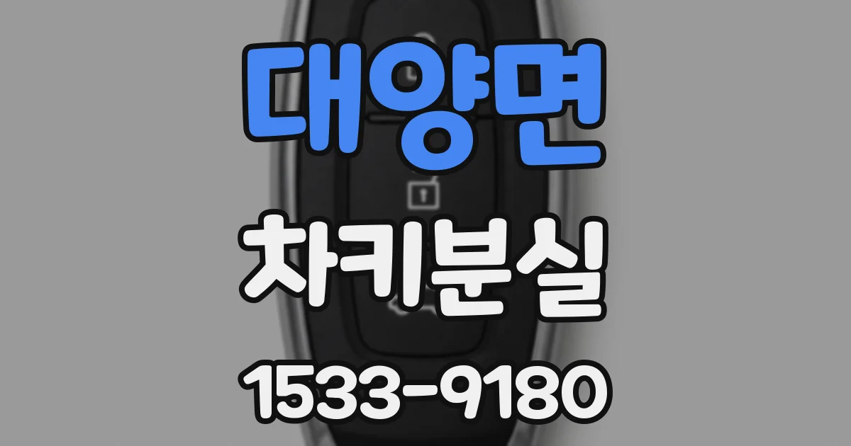 대양면 차키분실