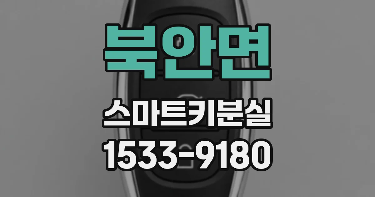 북안면 스마트키분실