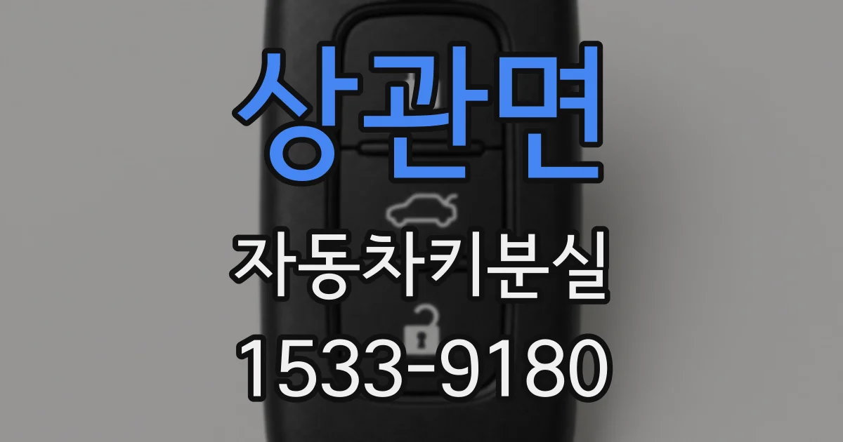 상관면 자동차키분실