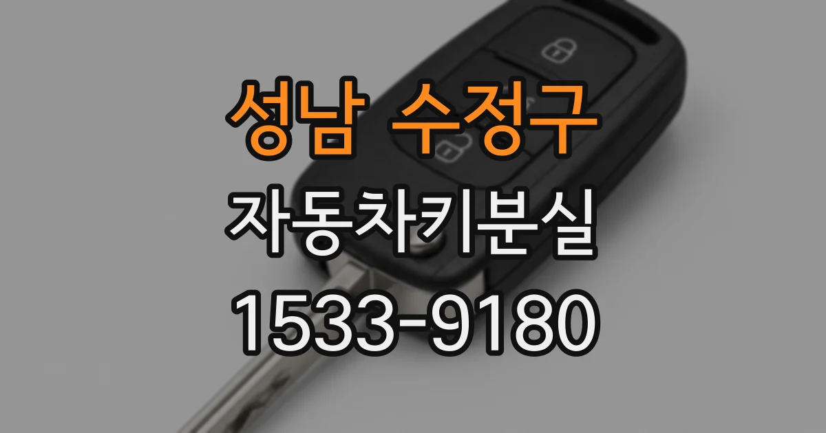 성남 수정구 자동차키분실
