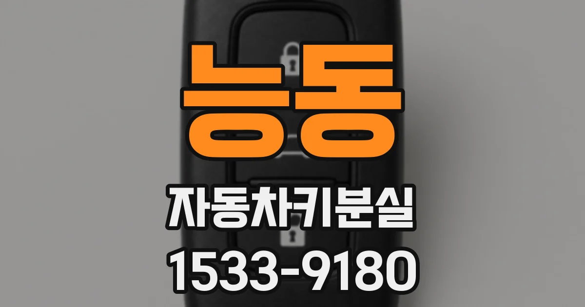 능동 자동차키분실