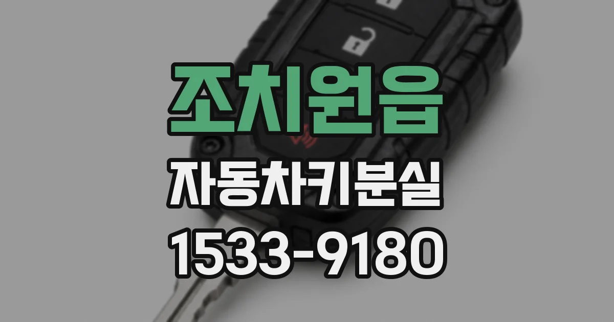 조치원읍 자동차키분실