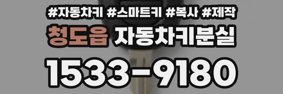 청도읍 자동차키분실