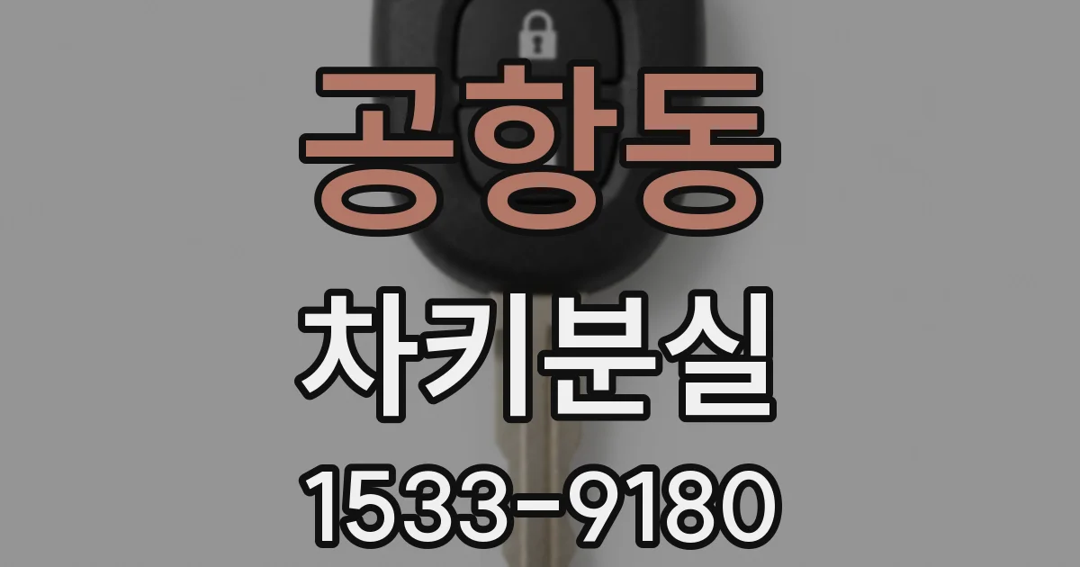 공항동 차키분실