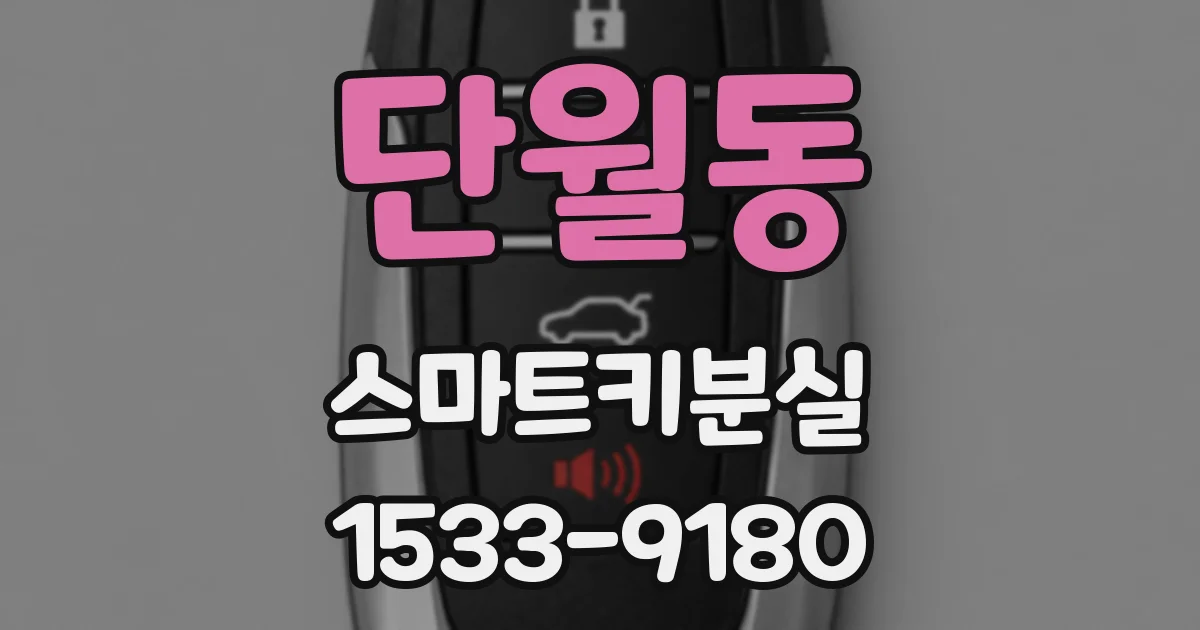 단월동 스마트키분실