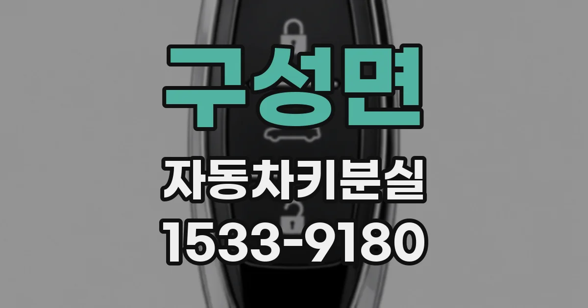 구성면 자동차키분실