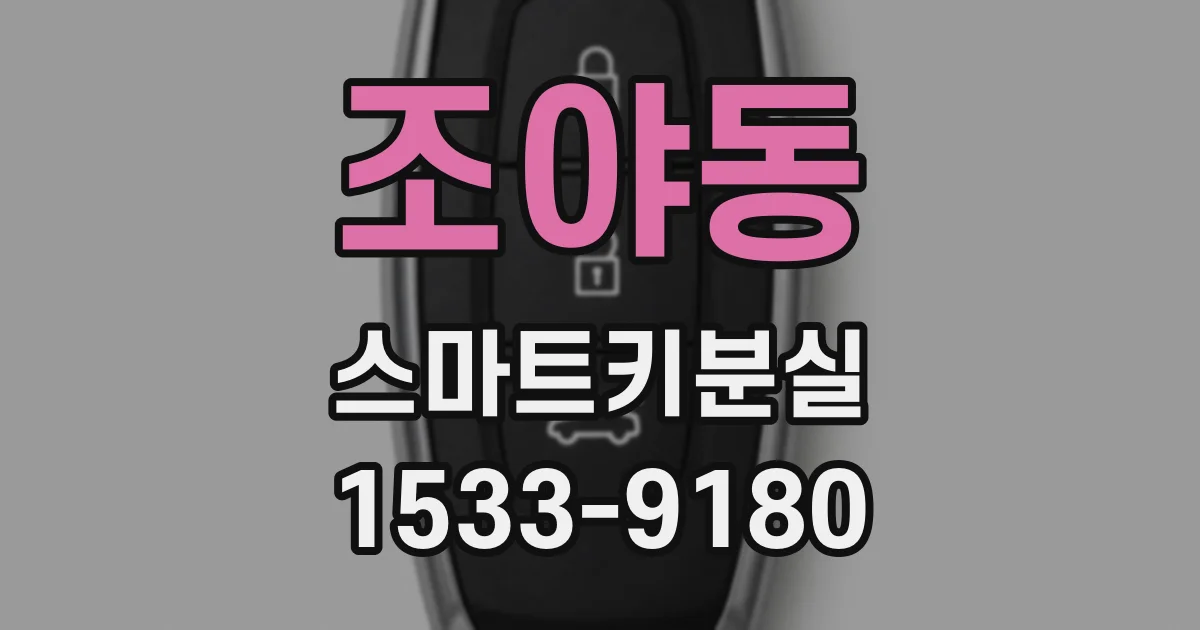 조야동 스마트키분실