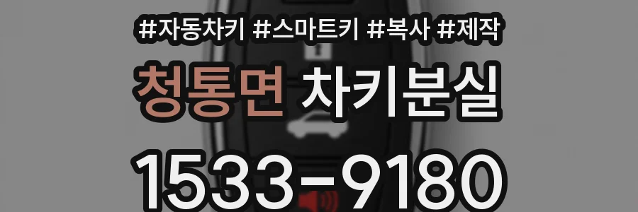 청통면 차키분실
