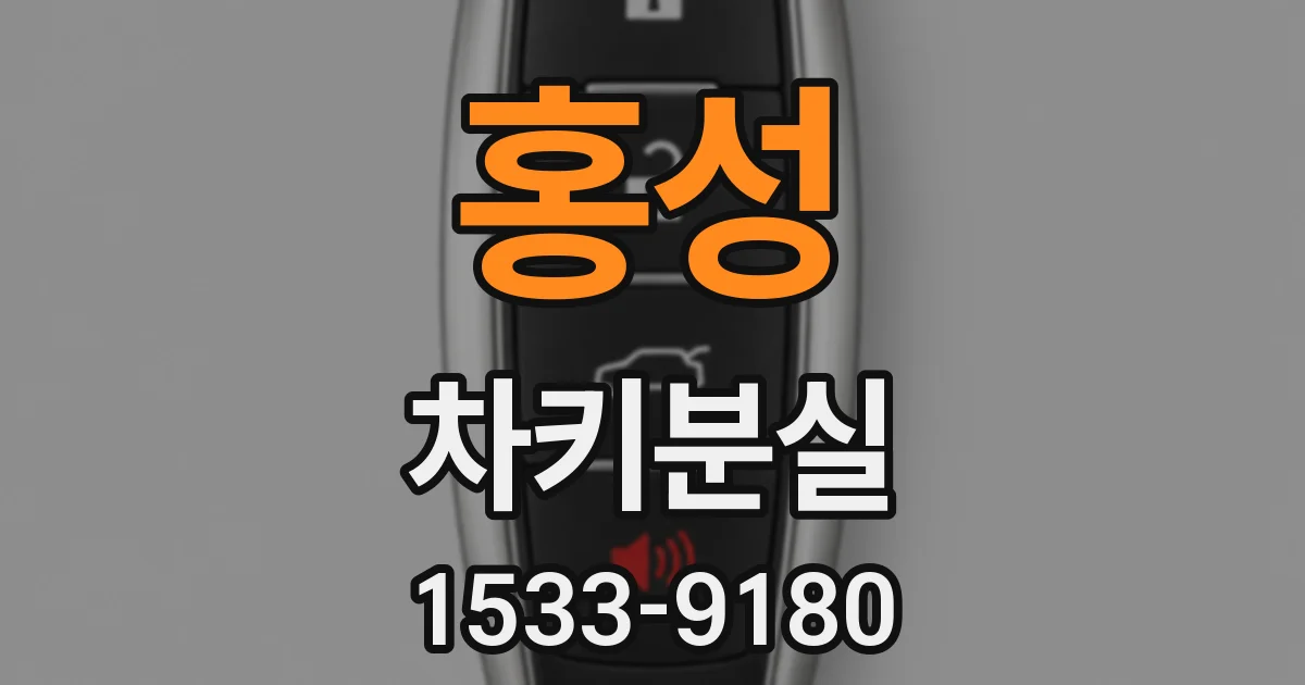 홍성 차키분실