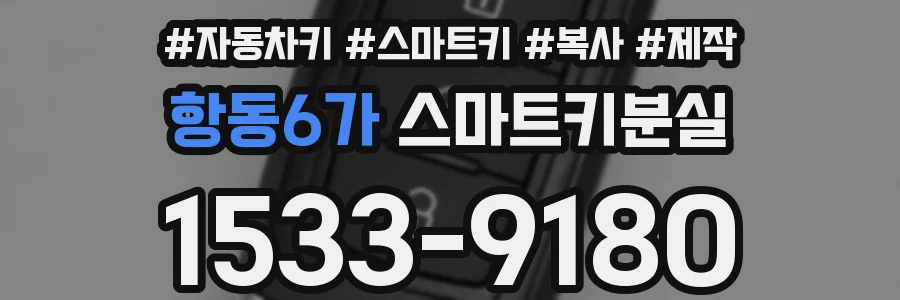 항동6가 스마트키분실