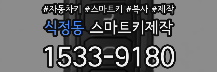 식정동 스마트키제작