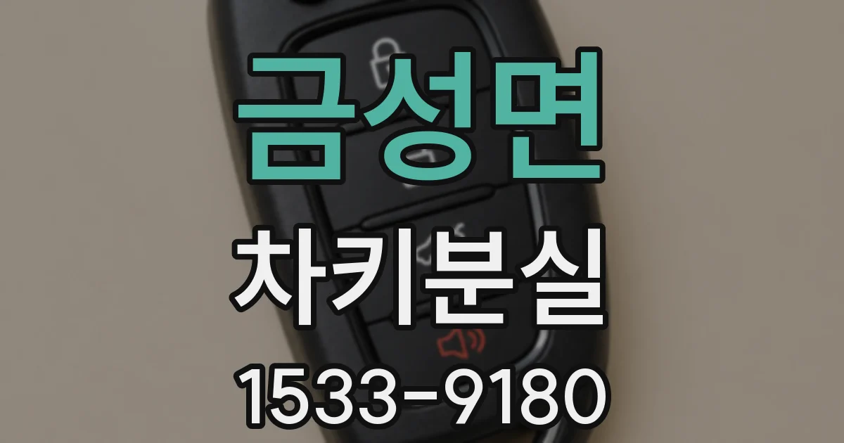 금성면 차키분실